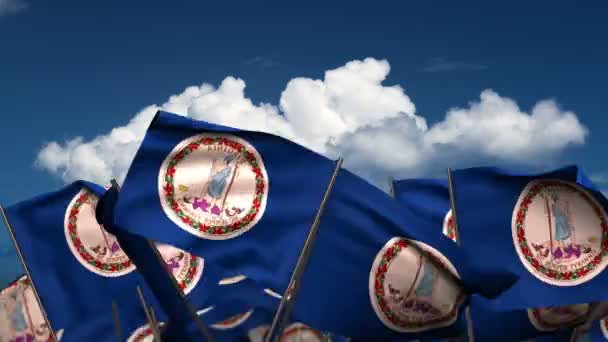 Waving Virginia State Flags — Stok Video