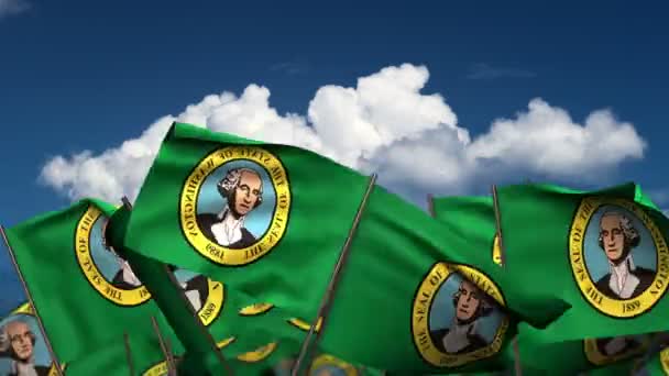 Viftande Washington State flaggor — Stockvideo