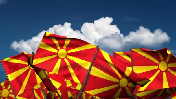 Waving Macedonian Flags — Stock Video