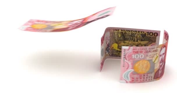 Vastgoed met de Nieuw-Zeelandse dollar — Stockvideo