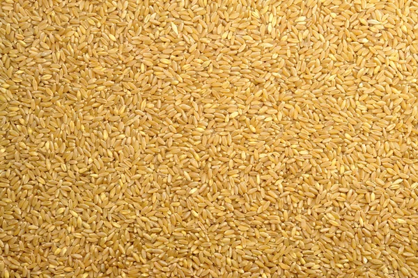 Textura de grano de trigo — Foto de Stock