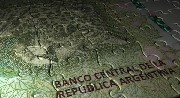 Argentina Pesos Puzzle — Stock Photo, Image