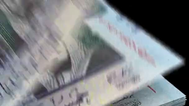 Počítání Saúdské Arábie Riyals — Stock video