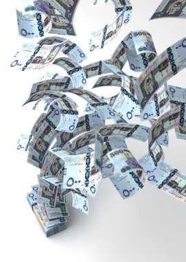 Uçan Suudi Arabistanlı Riyals