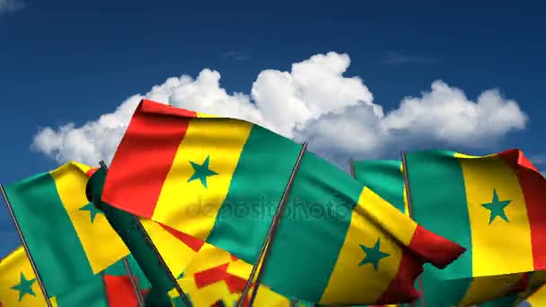 Vifta Med Senegal Flaggor Sömlösa Alfa Kanal — Stockvideo