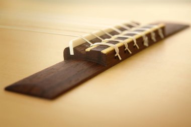 Klasik Gitar kapatmak