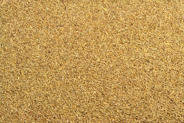 Textura de sementes de anis — Fotografia de Stock