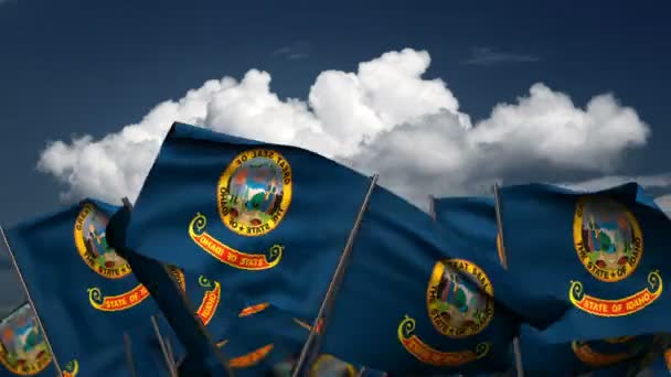 Idaho Devlet Bayrakları Kesintisiz Alfa Kanalı Sallayarak — Stok video