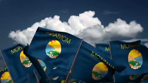 Waving Montana State Flags Seamless Alpha Channel — Stock Video