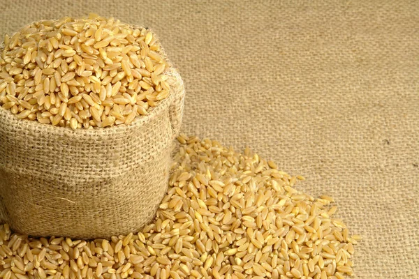 Пшеница с мешком — стоковое фото