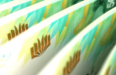 Düzenlenmiş İsrail Yeni Şekeli