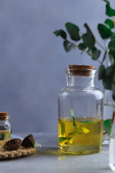 Set of glass bottles with eucalyptus essential oil on grey table leaves in vase — Stock Photo, Image