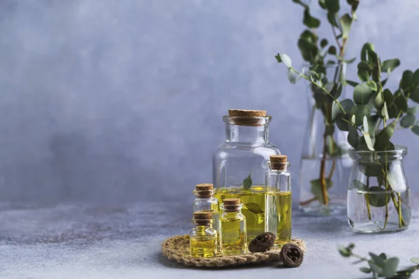 Set of glass bottles with eucalyptus essential oil on grey table leaves in vase — Stock Photo, Image