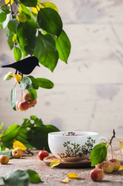 Porselen bir fincan kırmızı çaya su sıçrat. Çay seremonisi. Boyalı porselenler. Yeşil yapraklarla süslenmiş bir odada