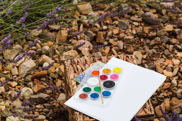 Campo de lavanda paisaje de verano cerca de Valensole. El conjunto del artista. primer plano — Foto de Stock