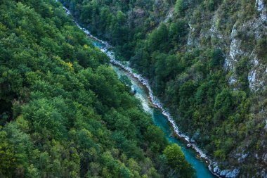 Altında nehir olan dağ geçidi. Yeşil dağlar. Dik yamaçlardaki dağ nehri kanyonu