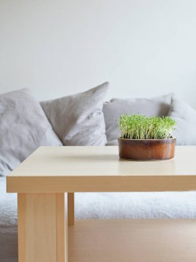 Bahar natürmort nordic arpacık otlar ile