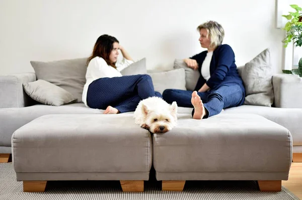 young and old woman talking together on a sofa and lying with a white terrier