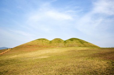 Goseong songhak-dong antik mezar, güney Korea(The Three Kingdoms period)