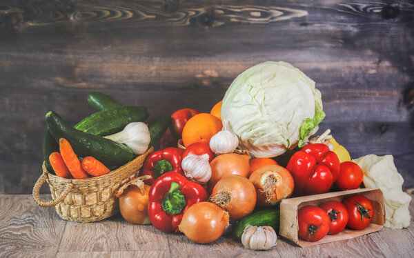 Against the background of a graphite wooden tabletop, fresh vegetables, turnip onions, garlic, large red peppers, tomatoes, next to a basket with cucumbers and carrots, on top of fresh young cabbage. Still life, composition of fresh vegetables.
