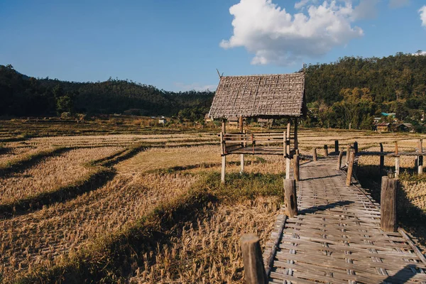 Footbridge — Stock Fotó