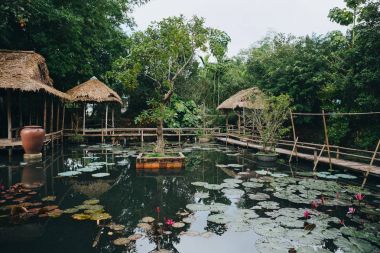 ahşap yaya köprüsü ve Hue, Vietnam için havuzda güzel lotus çiçekleri  