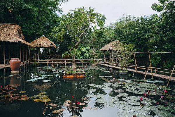 wooden footbridge and beautiful lotus flowers in pond in Hue, Vietnam  