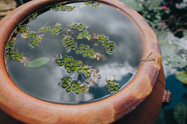 Water — Stock Photo, Image