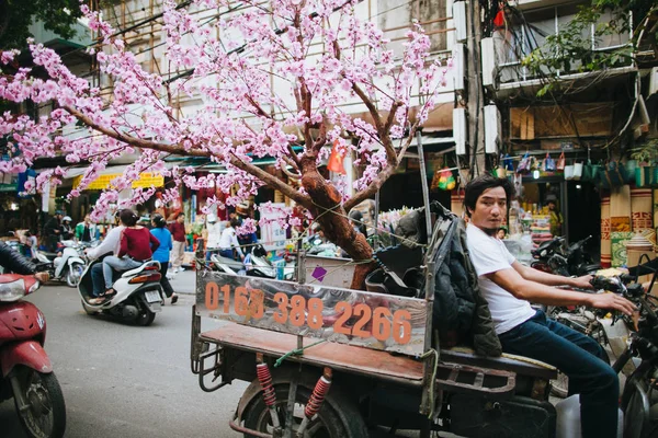 Sakura fát — Stock Fotó