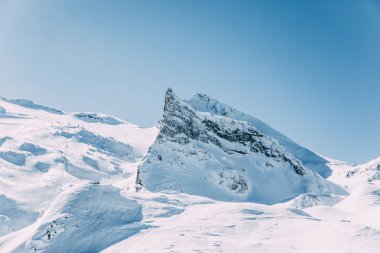 manzara