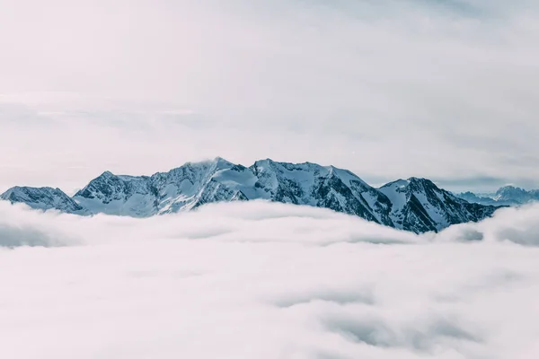 Vinter — Stockfoto