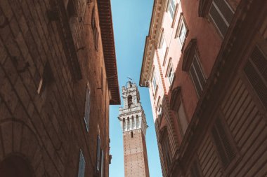 Tower in Siena clipart