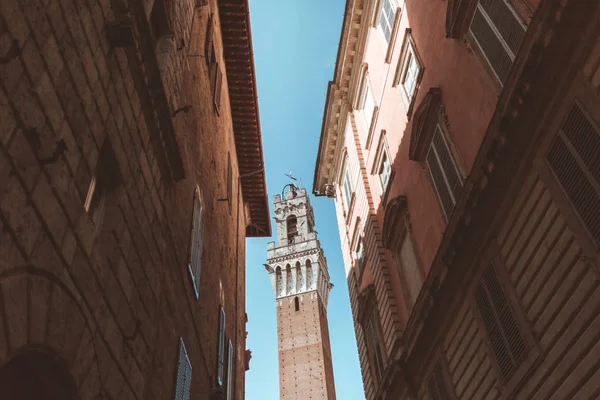 Torre en Siena — Foto de Stock