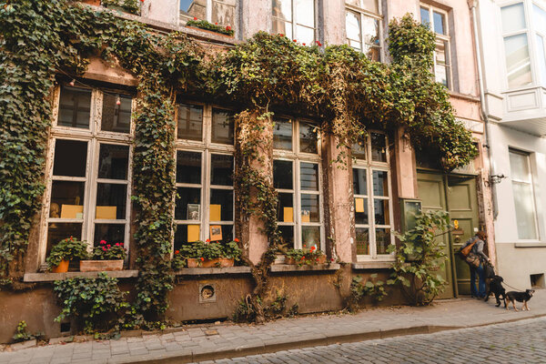 ГЕНТ, БЕЛЬГИЯ - 2 ноября 2016 года: неизвестная женщина с собаками возле старого традиционного здания в бельгийском Генте.
