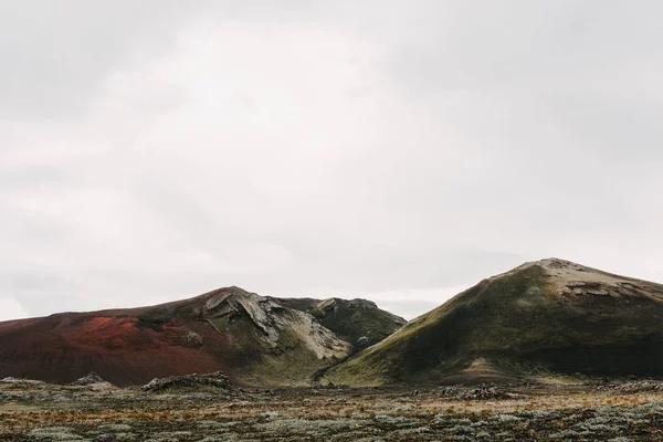 Naturaleza salvaje — Foto de Stock