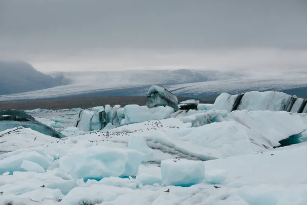 Glaciär — Stockfoto