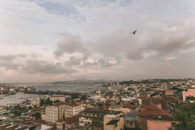 Kuş