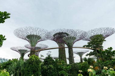 Singapur