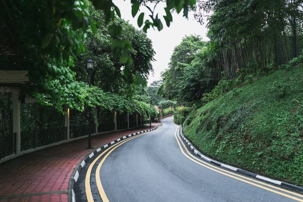 道路 — ストック写真