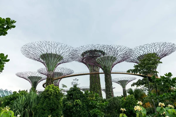 Singapura — Stok Foto