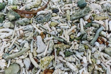sea stones clipart