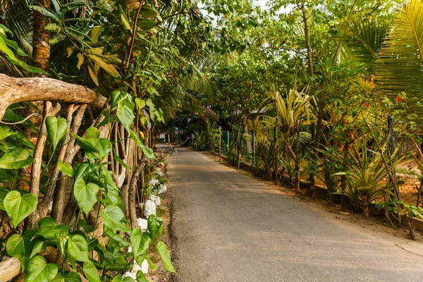 Caminho — Fotografia de Stock