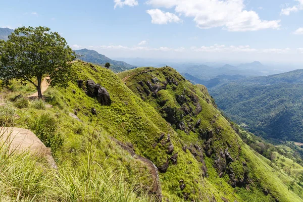 Asia — Stock Photo, Image