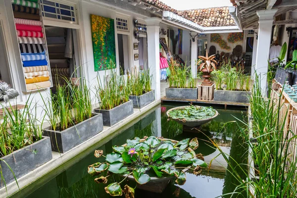 Pond with lilies — Stock Photo, Image