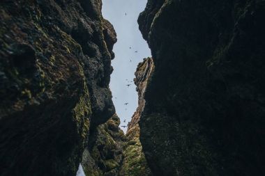 kayalar