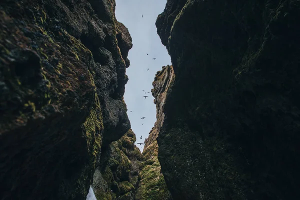 rocks