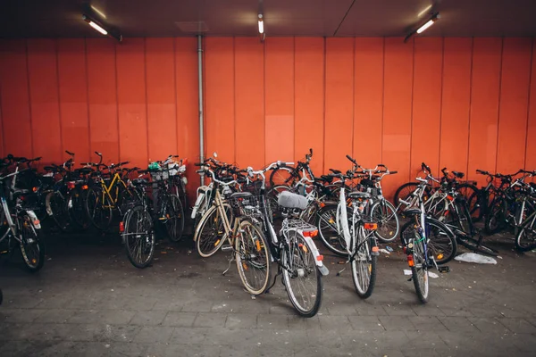 Parked bicycles — Free Stock Photo