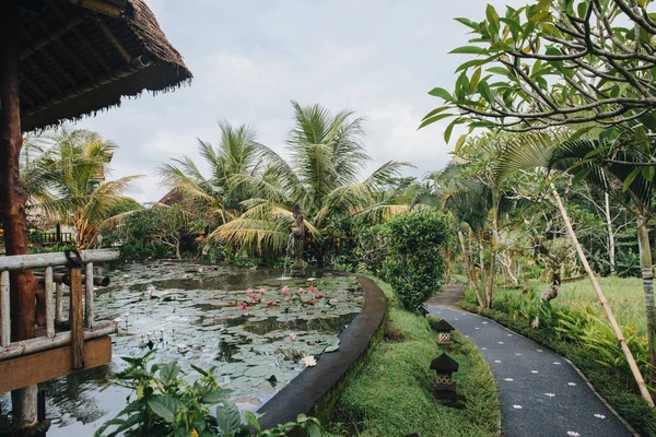 Bali — Foto stock