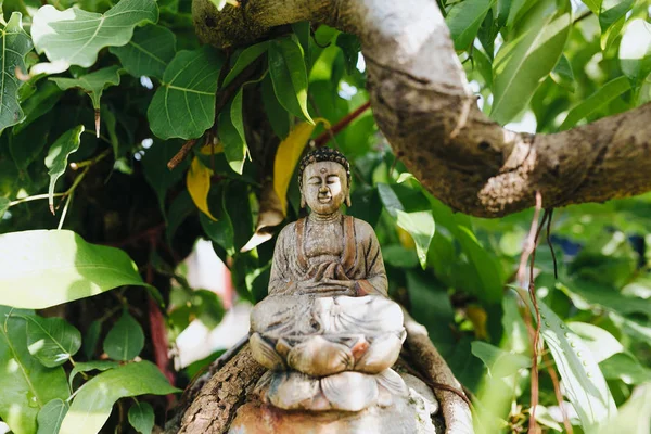 Buddha — Stock Photo