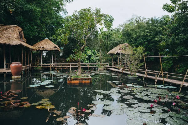 Pasarela de madera y hermosas flores de loto en estanque en Hue, Vietnam - foto de stock